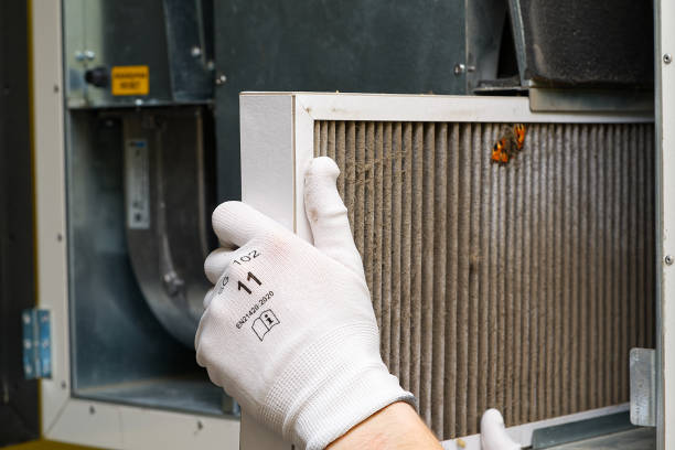 Best Local Air Duct Cleaning Services  in Dolton, IL